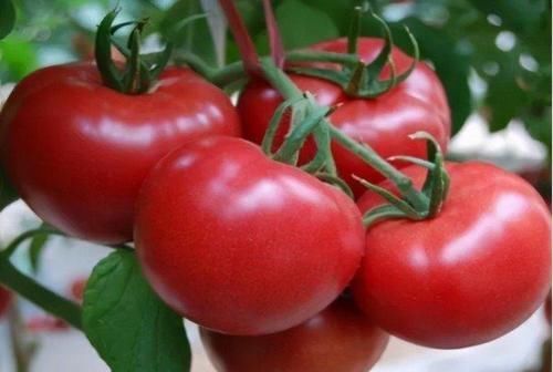 猪肝|常吃猪肝对眼睛有好处?医生:4种含叶黄酸的食物是眼睛的最爱