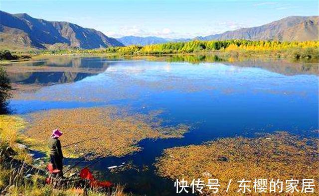 米饭粒|秋天野钓大鲫鱼，传统钓才是“王者”，其他钓法都比较“渣渣”