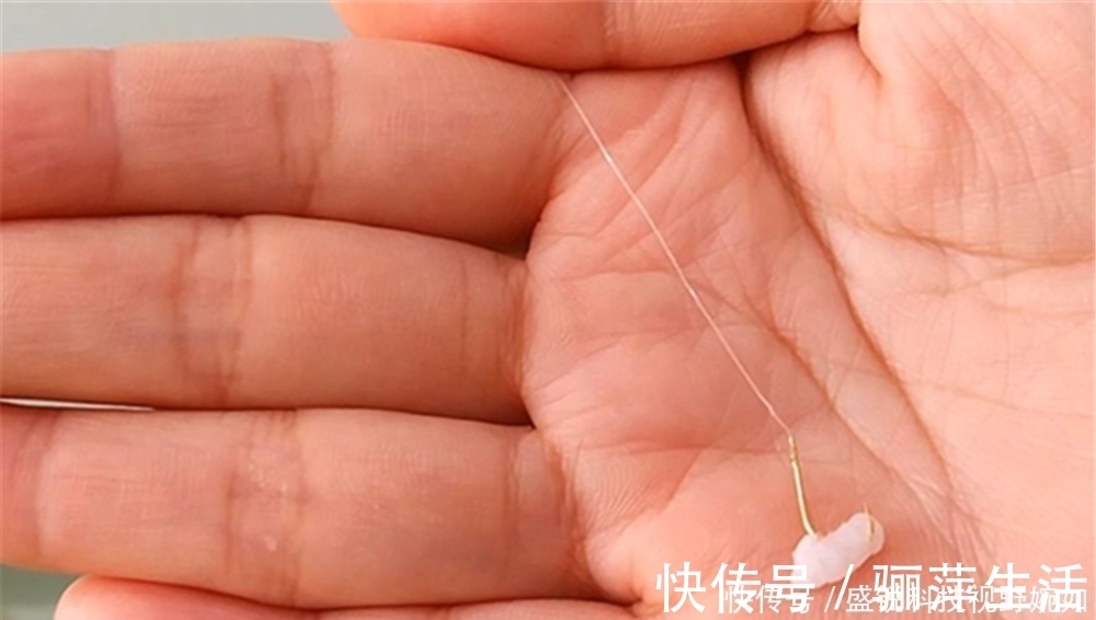 饵料|夏季钓鲫鱼,这些清淡饵料有奇效,避开闹窝小鱼,直取大鲫鱼!