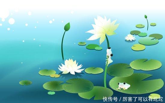 家庭和睦|死在嘴上,病在腿上!专家:可惜现在很多人都不懂养生!