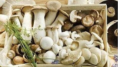 中年人不想生病,春天吃的食物,预防感冒,帮助排便,气色变白嫩