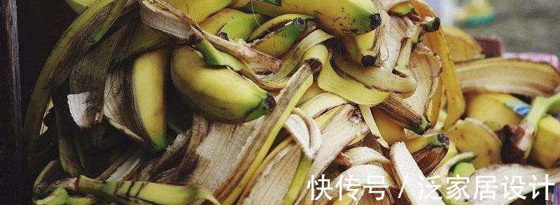 叶子|香蕉皮,天然钾肥,用对方法养花,有营养、能驱虫、清洁叶子