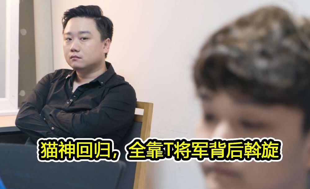 王者荣耀分部|猫神回归全靠T将军调解，但eStar仍有致命缺陷，不解决难谈冠军
