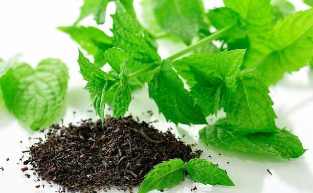 金桂|几种植物全身“飘香”,香味经久不散,家里摆上一盆,生活更舒适