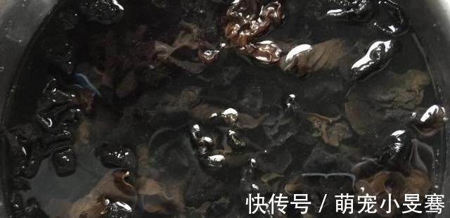 水饺|秋天，别错过这碱性食物，7毛钱一斤，用来包饺子鲜嫩多汁超级香