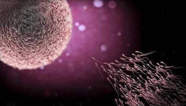 白带|别再为了怀孕计算排卵期了,看身体反应,出现三个说明排卵期来了