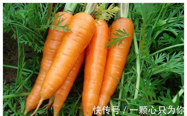 种植|农村8种含钙量高的蔬菜，多种多吃能补钙，营养价值高，记得收藏