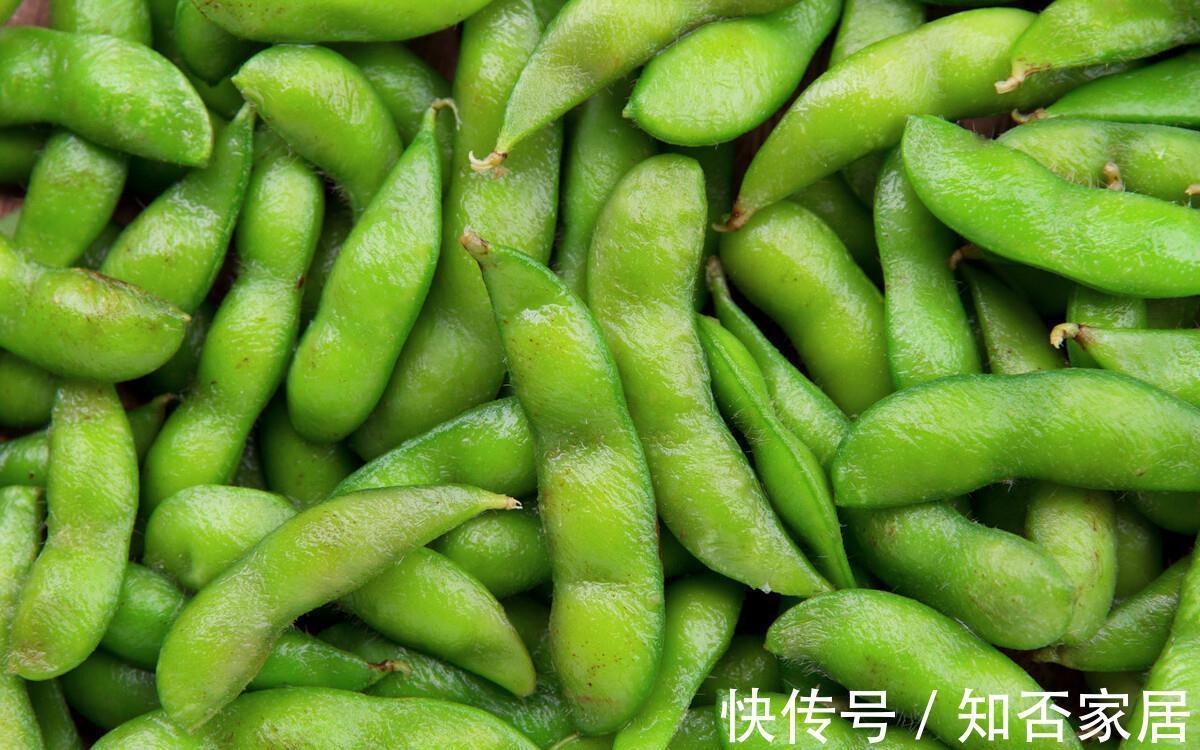 桂皮|夏天毛豆正当季，分享3个技巧，煮出来翠绿入味，比烧烤店还好吃