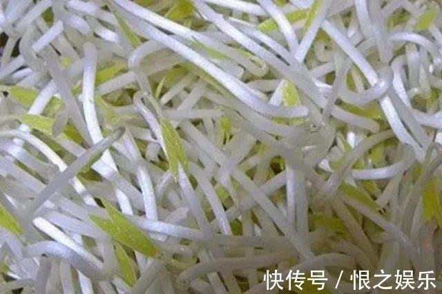 龙须菜|天然“吸糖王”，每天多吃点，稳定血糖，或远离糖尿病