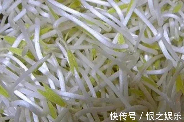 龙须菜|天然“吸糖王”,每天多吃点,稳定血糖,或远离糖尿病