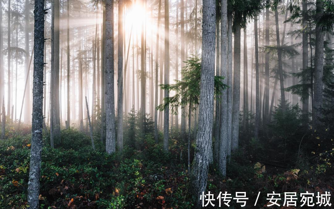 正东|户型朝向不同,带来的居住体验天壤之别,95%的人都不清楚!