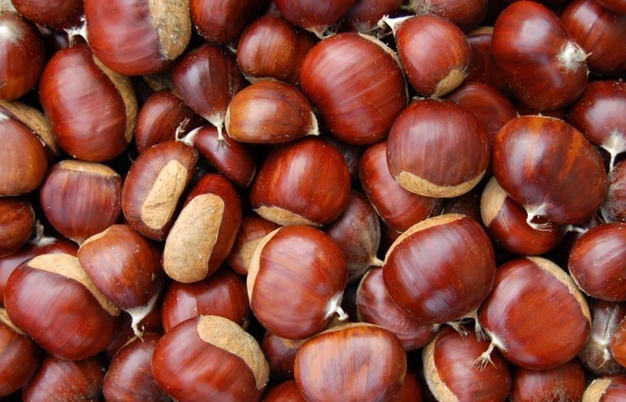 粮谷类|栗子和此物一起煮,失眠好了,大肚子平了,不想每天疲惫不堪试试