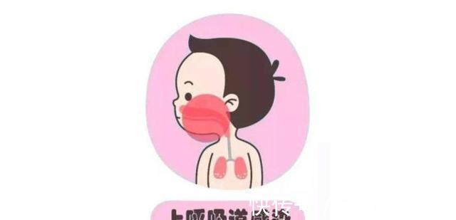 食疗|立秋后干燥引发过敏、咳嗽、呼吸道疾病?中医建议2药膳食疗改善