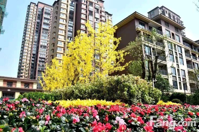 楼盘|泰州海陵区热门楼盘项目现场传来一批新照片，请查收