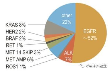 每年平均每个省2.48万人被诊断为肺癌，怕吗？靶向治疗是什么？