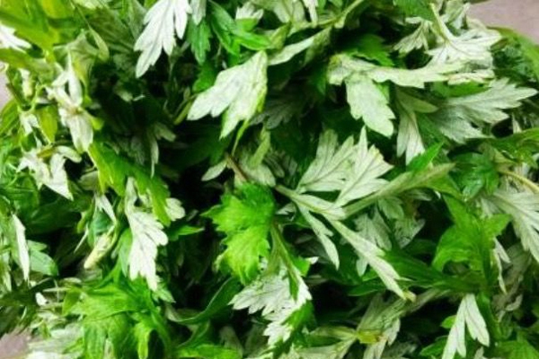 消炎|农村此草遍地都是，拿来洗头，坚持一个月，好处不请自来