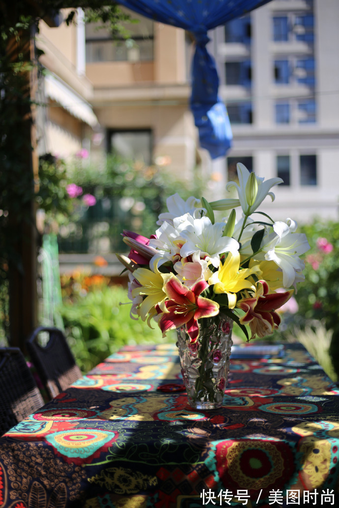 阳台上|为建花园,不顾反对买了一楼带院子,3年的亲手布置朋友都羡慕了