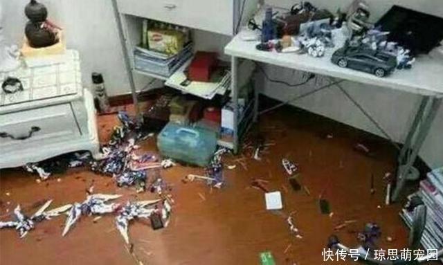手办|“一堆破塑料20万,你想讹钱?”熊孩子弄坏手办,父母拒绝赔偿