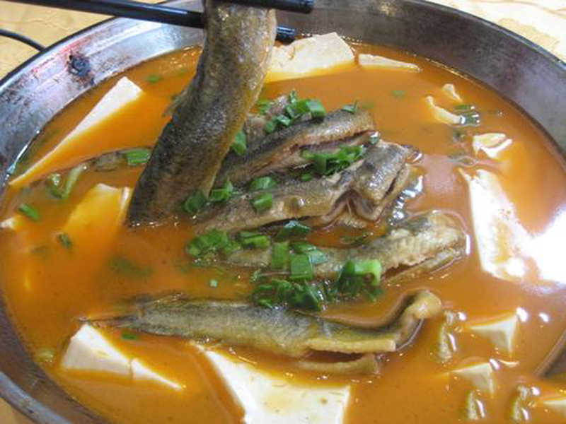 泥鳅豆腐火锅图片
