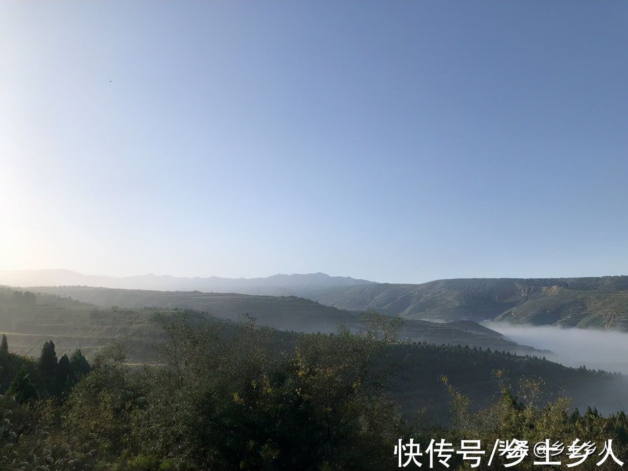 古人#古人说:“藏象”合一,万物皆成,是啥意思?藏和象指的是啥?