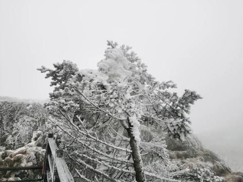 轿子|说走就走！快去轿子雪山与神奇的雾凇同框！