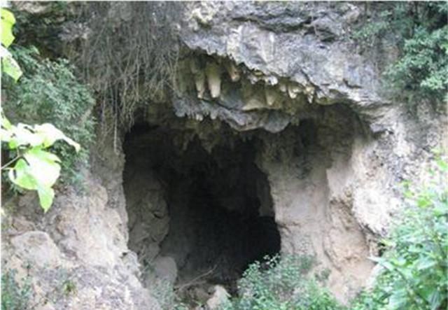 深山中|深山中的白毛女:隐居30年,惨遭魔爪爱子早夭,疯了整整一辈子!