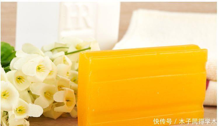 想要菊花盆栽摆脱虫害?只需做这些就能轻松解决