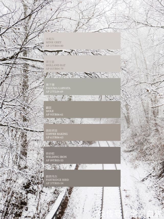 灰色系&Color Code 色彩密码 | 质感温润-藕灰色