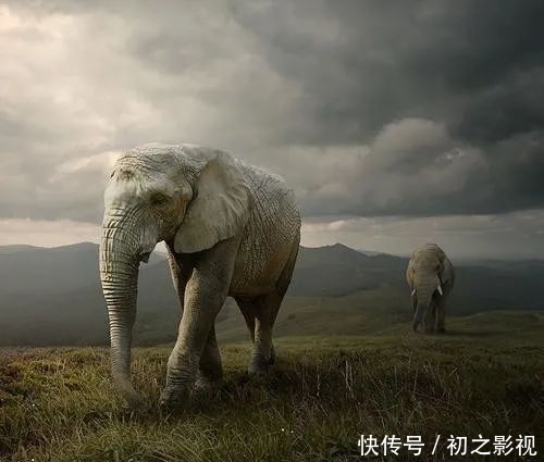 诗人酒馆|龙 森:母 亲