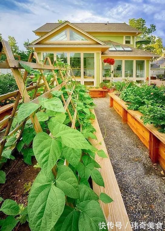 家里人！掌握庭院布置技巧，后期做起来太美了，看看你家是哪一种？