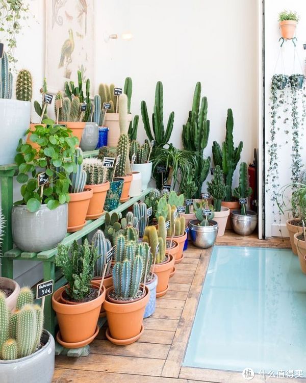 阳台|打通阳台立马多出5㎡，但这几个问题要先搞明白