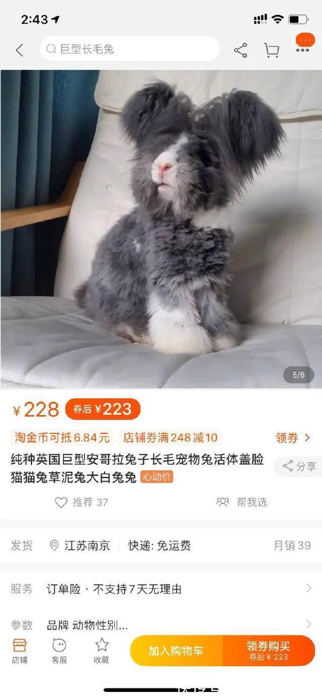 |朋友在你脱单路上的重要性 冷段子1794