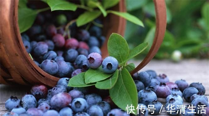 延缓衰老|想要“更年轻”，可多吃以下食物，祛皱养颜，延缓衰老，滋补身体