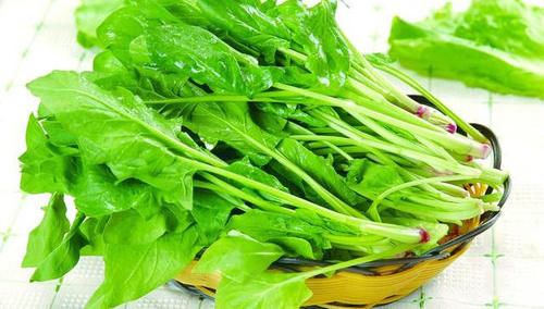 中年|女性到了中年多吃的食物，美容养颜，延缓衰老，肌肤更细腻