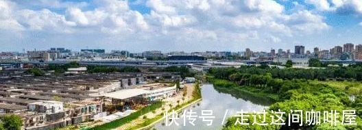 豪宅|10年后，农村最值钱不再是车和房，而是这四样