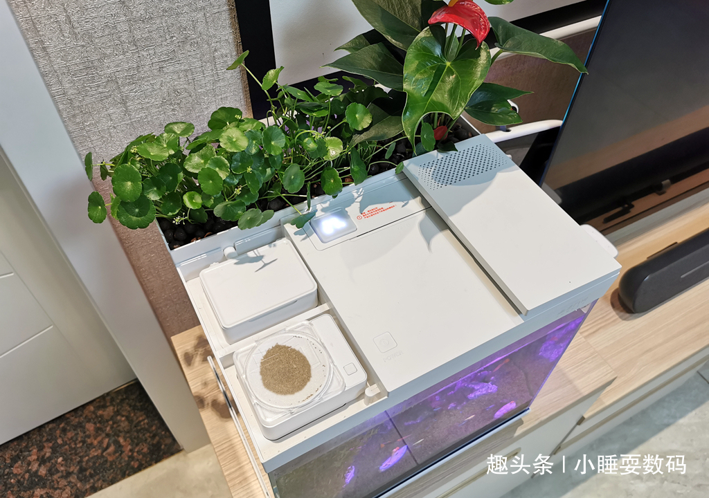 哪种鱼缸更适合养鱼画法几何AI智能鱼缸，水质监测还能自动喂食