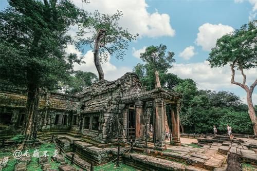 中年|塔布隆寺——古树与神庙的爱恨情仇，化作生死相依的永世缠绵