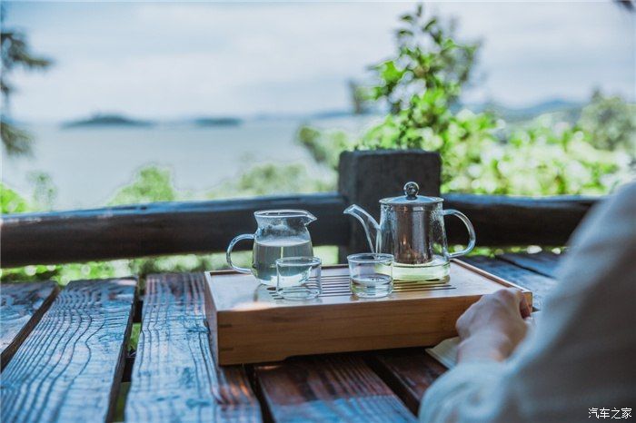 附庸风雅记|附庸风雅记：太湖品茶