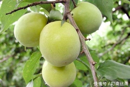 皱纹|女性睡觉前当零食吃几颗,淡化色斑,减少皱纹,皮肤更加细嫩光滑