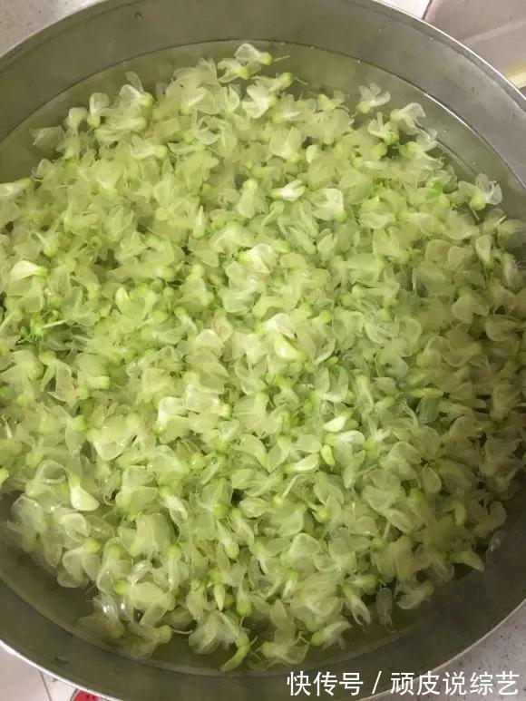 农村的4种花，味道比“鸡肉”香，煎炒煮汤，是一道美味！