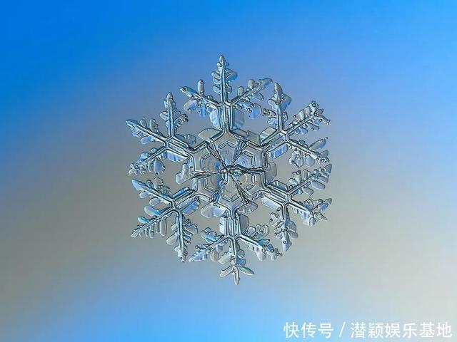 他用8个冬天拍下雪花的样子，每一朵都如此惊艳！