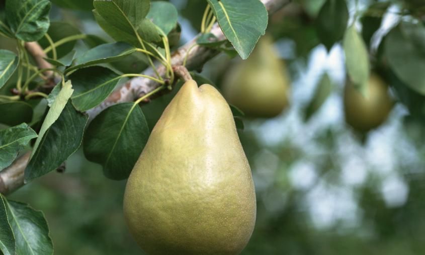 盗汗|油尽灯枯的你是阴虚了吗？默默教你用对调理方法，一周就能调回来