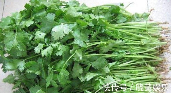 风寒感冒|香菜煮水功效高,不出半月,几大好处不请自来,给身体洗个澡