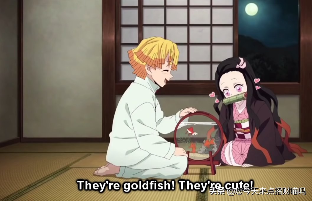 小葵|鬼灭之刃:蝶舞未知剧情,炭治郎收礼物,善逸被小皮鞭调教