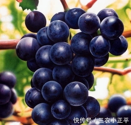 买葡萄时,三种葡萄不能要,老板自己都不吃,你却经常买?