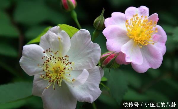 朋友关系|真正精明的人,从不轻易对人说4句话,难怪本事大福气足!