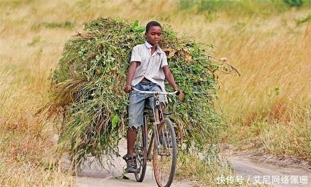 部落中|非洲“最残酷”的一个原始部落：“不洁”被处死，未婚女性更可怜