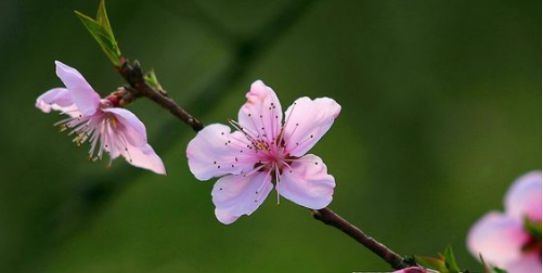 征兆|一个人,苦吃多了,即将转运,才有这三个征兆(很准)