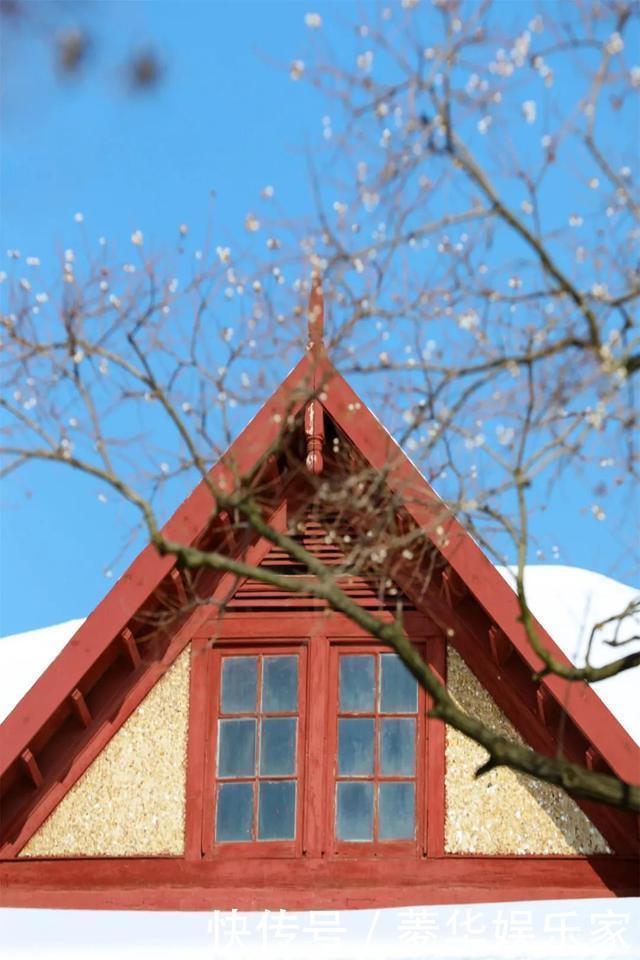 看不到故宫的雪来这儿，一下雪就让人移不开眼！