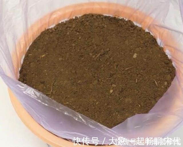 大蒜|一个垃圾桶,能种出一桶蒜!多到吃不完,以后家里一年都不用买了!